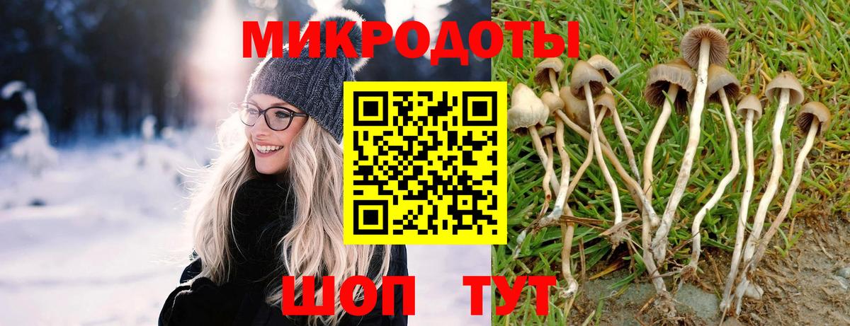 где найти   Галлюциногенные грибы мухоморы  Галлюциногенные грибы Psilocybine cubensis  Вход с VPN  Нижнекамск 
